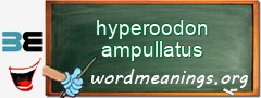 WordMeaning blackboard for hyperoodon ampullatus